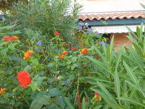 Maisons de vacances Les Bastides du Cap : photos des chambres