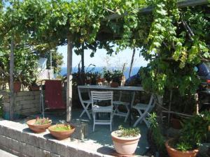 Apartment with Garden View