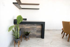 Tribu Sonata with pool