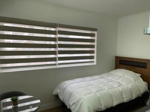 TinyApartments - estudio pleno centro Concepción