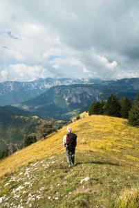 Appartements GITES des FLANDAINES : photos des chambres