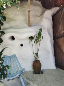 Espaço Pé de Mangaba - Natureza e Simplicidade