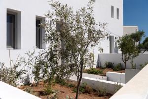 VILLA CELIA
