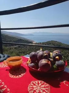 Shenmiter Lukove - Shënvasi