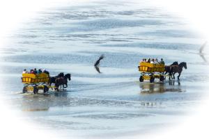 Haus Frische Brise 1312