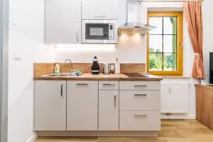 Apartment Hugo Blatná - 约翰乔治城