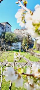 Appartements Chateau des Senechaux, Bourdeilles : photos des chambres