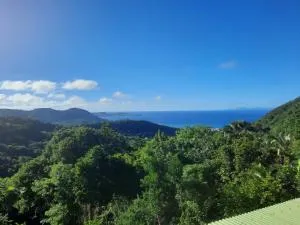 Oiseau de Paradis - Bellay