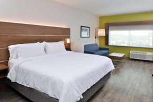 Specialty Room room in Holiday Inn Express Orlando - South Park an IHG Hotel