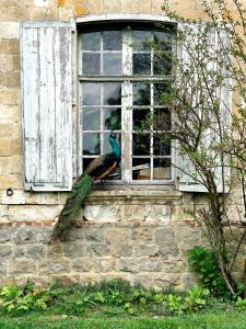 Château de Contay Guesthouse - 1753