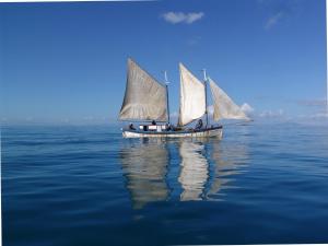 Les bungalows dAmbonara