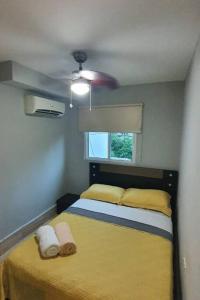 R.1109 Estudio ejecutivo.