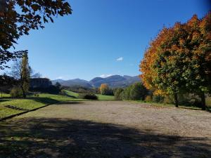 Appartements GITES des FLANDAINES : photos des chambres