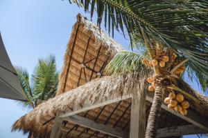 Casa Cori Cori at Monterrico