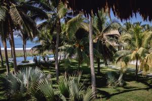 Casa Cori Cori at Monterrico