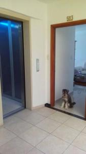 Bonito apartamento en Cartagena con garaje gratuito