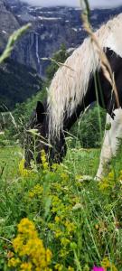 Hotels Hotel Vignemale : photos des chambres