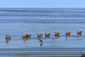 Haus Nordseebrandung NC54