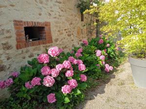 B&B / Chambres d'hotes L'Amalgam' : photos des chambres