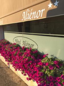 Hotels Hotel Alienor : photos des chambres