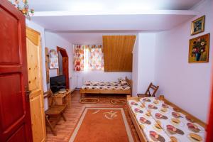 Pensiunea Flori de Camp