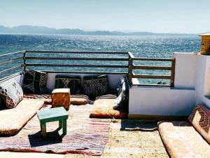 Eel garden paradise dahab