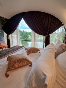 AKIS namelis medyje- Dinosaur Park