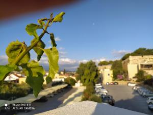 Studio old town Rethymno