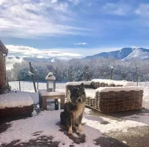 Maison chulubitenia - Irissarry