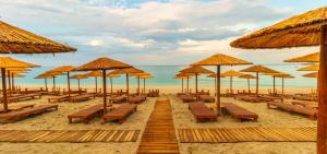 Kyma Papa Nero Studios