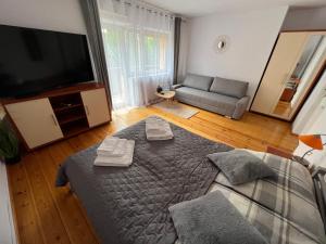 Apartament ESSA Karpacz - 2