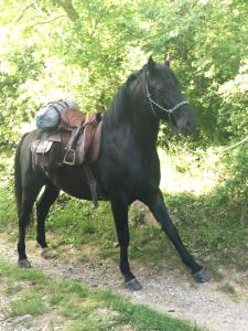 B&B / Chambres d'hotes Gite de la Bastide - Cabania Pays Cathare : photos des chambres