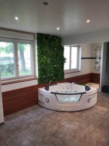 Appartements Love Room Appartement avec jacuzzi : photos des chambres