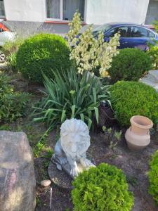 Pokoje gościnne Simon