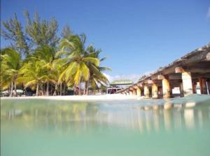 Casa Rural El Paraíso de Saona