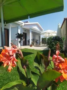 EFI APARTMENTS - 法纳里恩