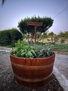 Appartamento Da Maria