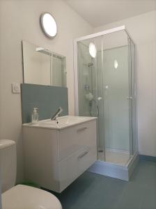 Appartements Studio vue chateau 100m etang, plage et halles : photos des chambres