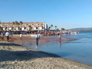 Appartements Studio vue chateau 100m etang, plage et halles : photos des chambres