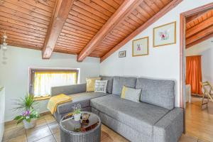Apartman Marko in Tar 