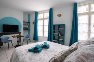 Appartements SUPERLOGIS -Les Arts-STUDIO☆☆☆ BLOIS-HYPERCENTRE : photos des chambres