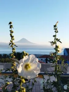 MAGMA RRAL3529 - Queimada