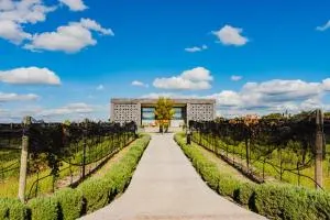 Casa Raíces Hotel Luxury & Viñedo - Atotonilco