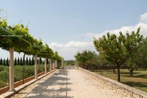 Villa Albina & Domenica