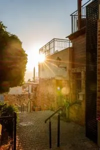 שירת צפת - 埃米瑞姆