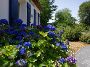 Maisons de vacances Attractive holiday home in Les Forges with garden : photos des chambres
