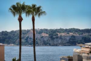 IMMOGROOM - Fully equipped - Terrace with sea view - AC