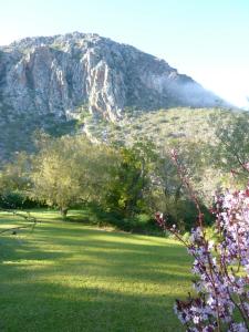 Porcupine Hills Olive and Guest Farm