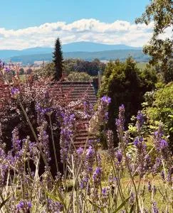 Ferienwohnung „Hygge“ in Liebenburg - Heiningen