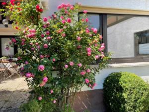 Ferienwohnung di Simoni